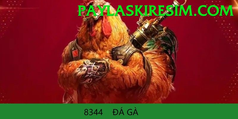 Đá Gà Trực Tiếp - Trải nghiệm tuyệt vời